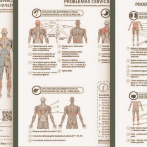 Pack de 3 Posters de Reflejos viscerales (LÁMINAS EN PAPEL 70x50)